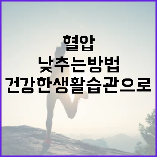 혈압을 낮추는 방법: 건강한 생활습관으로 안전하게 관리하기 - 요약