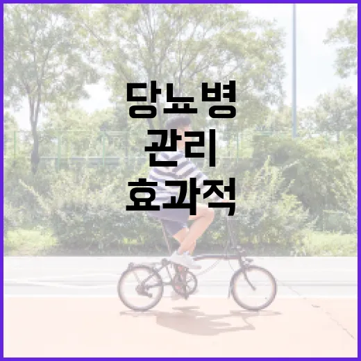 당뇨병을 효과적으로 관리하는 방법 - 요약