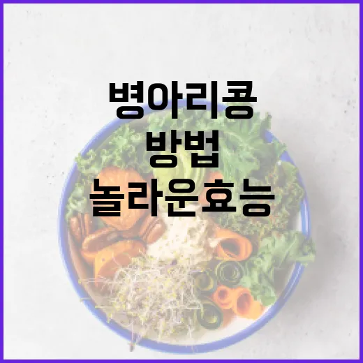 병아리콩의 놀라운 효능을 아는 방법 - 요약