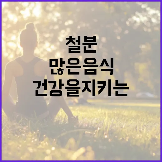 철분이 많은 음식을 통해 건강을 지키는 방법 - 요약