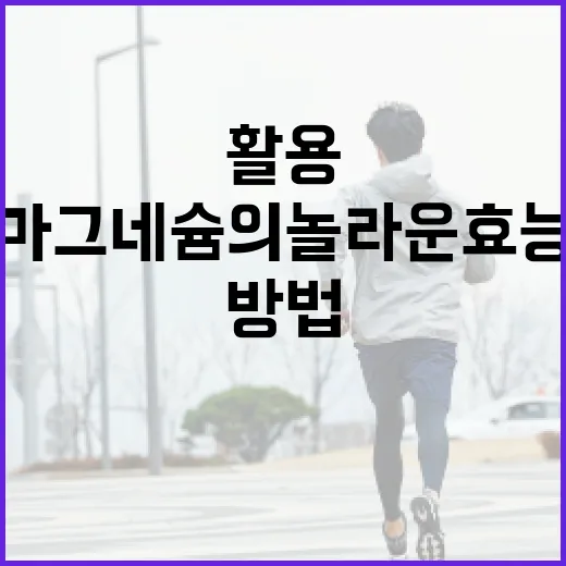 마그네슘의 놀라운 효능을 최대한 활용하는 방법 - 요약