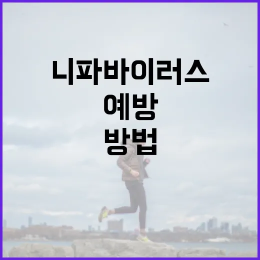 니파바이러스 예방하는 방법 - 요약