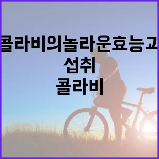 콜라비의 놀라운 효능과 건강하게 섭취하는 방법 - 요약