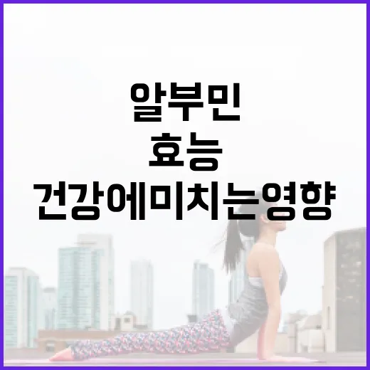 알부민의 효능과 건강에 미치는 영향 알아보기 - 요약