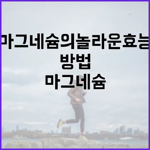 마그네슘의 놀라운 효능을 아는 방법 - 요약