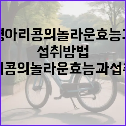 병아리콩의 놀라운 효능과 섭취 방법 - 요약