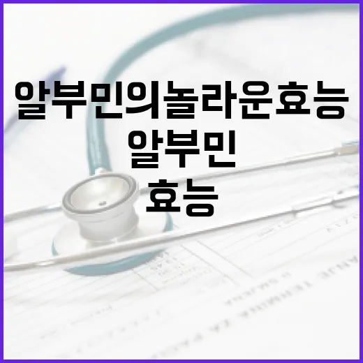 알부민의 놀라운 효능을 알아보는 방법 - 요약