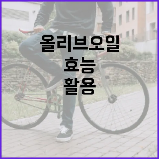 올리브오일의 효능을 최대한 활용하는 방법 - 요약