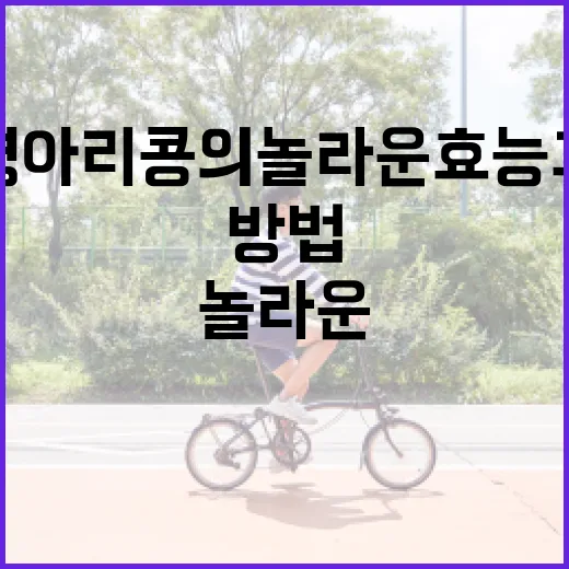 병아리콩의 놀라운 효능과 이를 활용하는 방법 - 요약