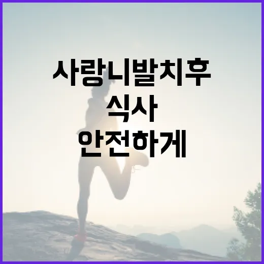 사랑니 발치 후 안전하게 식사하는 방법 - 요약