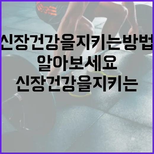 신장 건강을 지키는 방법: 신장에 좋은 음식을 알아보세요 - 요약