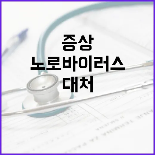 노로바이러스 증상과 대처하는 방법 - 요약