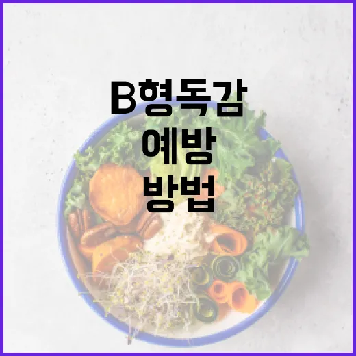 B형 독감을 예방하고 관리하는 방법 - 요약