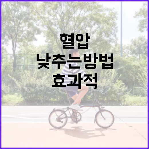 혈압을 효과적으로 낮추는 방법 - 요약