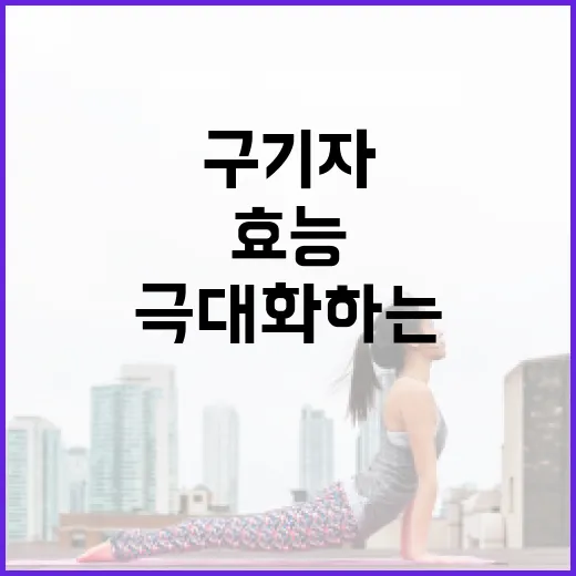 구기자의 효능을 극대화하는 방법 - 요약