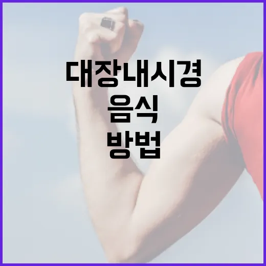 대장내시경 전 음식을 준비하는 방법 - 요약