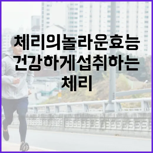 체리의 놀라운 효능과 건강하게 섭취하는 방법 - 요약