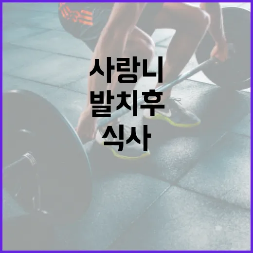 사랑니 발치 후 식사하는 방법과 주의사항 - 요약