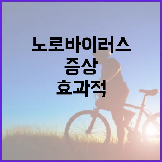 노로바이러스 증상을 효과적으로 관리하는 방법 - 요약