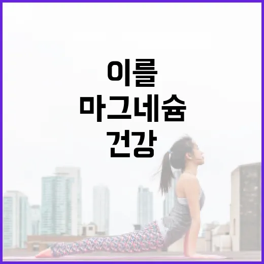 마그네슘의 놀라운 효능과 이를 통해 건강을 개선하는 방법 - 요약