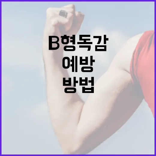 B형 독감을 예방하고 관리하는 방법 - 요약