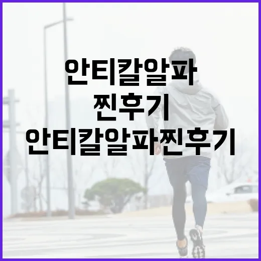 안티칼알파 찐후기: 효과적으로 사용하는 방법 - 요약