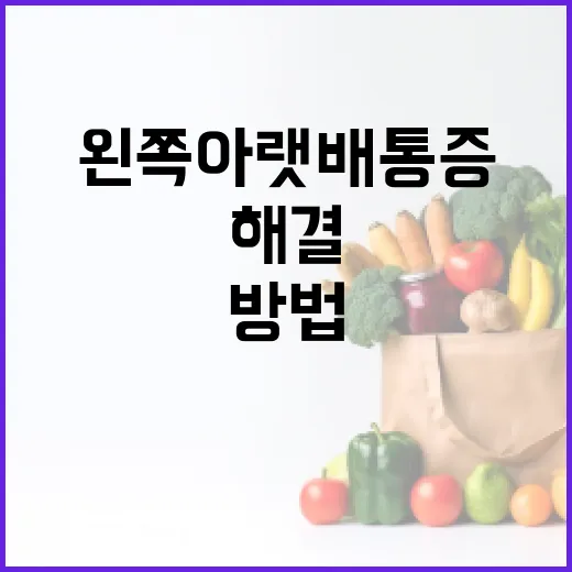왼쪽 아랫배 통증을 해결하는 방법 - 요약