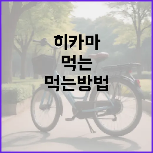 히카마를 건강하게 먹는 방법 - 요약