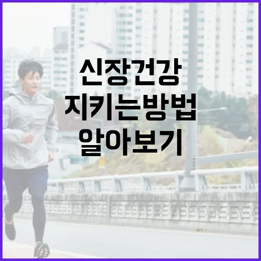 신장 건강을 지키는 방법: 신장에 좋은 음식 알아보기 - 요약