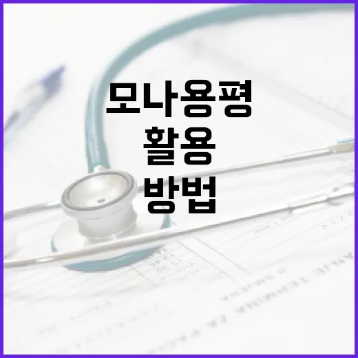 모나용평 이나트를 활용한 건강 관리 방법 - 요약