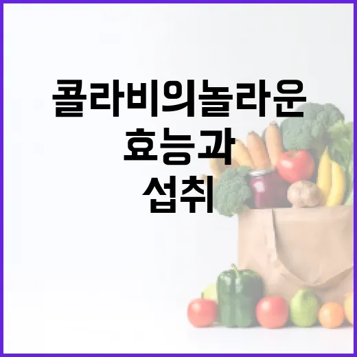콜라비의 놀라운 건강 효능과 섭취 방법 - 요약