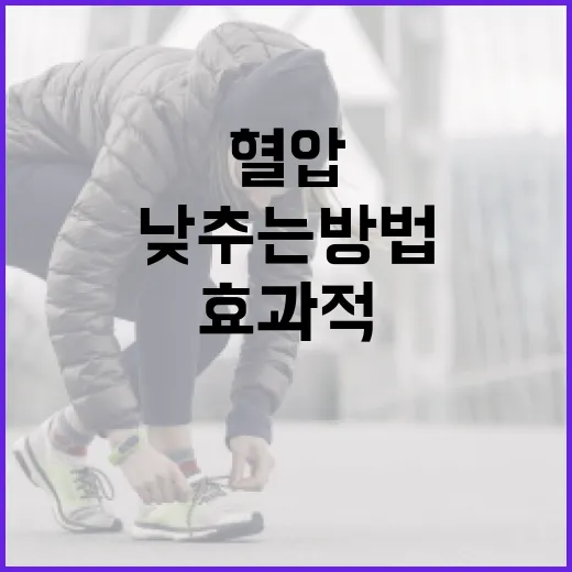 효과적으로 혈압을 낮추는 방법 - 요약