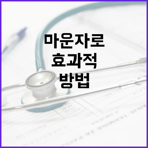 마운자로를 효과적으…