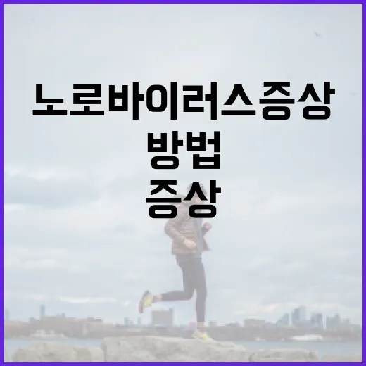 노로바이러스 증상을 관리하는 방법 - 요약