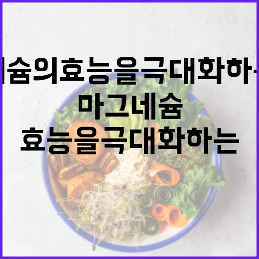 마그네슘의 효능을 극대화하는 방법 - 요약