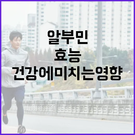 알부민의 효능과 건강에 미치는 영향 알아보기 - 요약