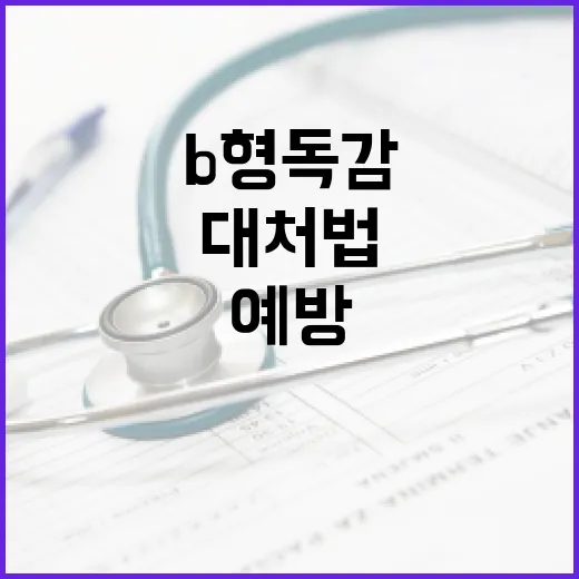 B형 독감을 예방하는 방법과 대처법 - 요약