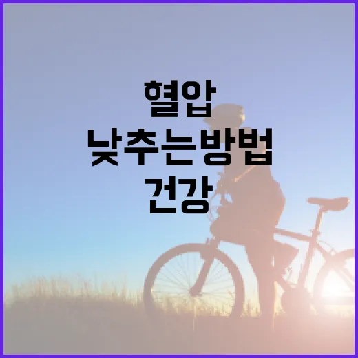 혈압을 낮추는 방법: 건강을 위한 실질적인 가이드 - 요약