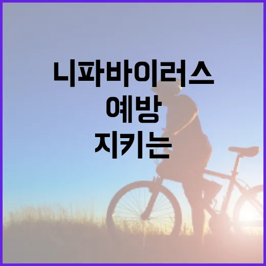 니파바이러스를 예방하는 방법: 건강을 지키는 실천법 - 요약