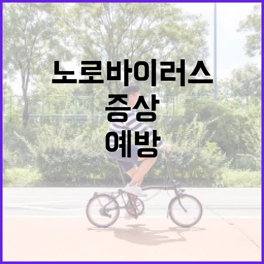 노로바이러스 증상을…