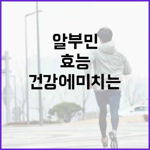 알부민의 놀라운 효능과 건강에 미치는 영향 알아보기 - 요약