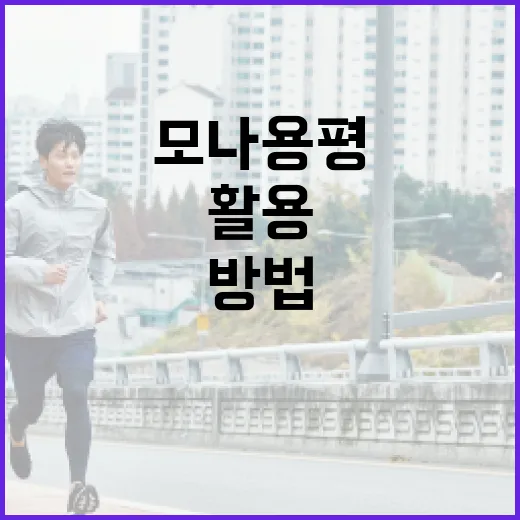 모나용평 이나트를 활용하여 건강을 증진하는 방법 - 요약