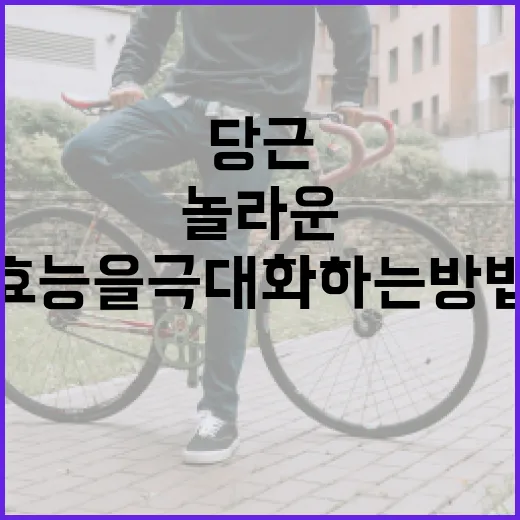 당근의 놀라운 건강 효능을 극대화하는 방법 - 요약