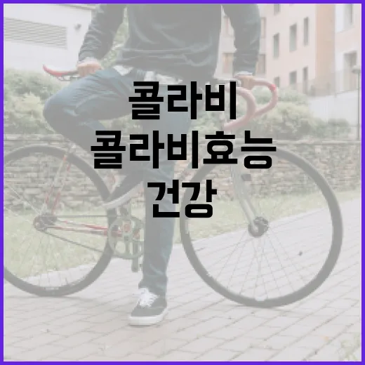 콜라비 효능 알아보기: 건강을 위한 필수 정보 - 요약