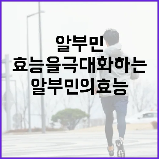 알부민의 효능을 극대화하는 방법 - 요약