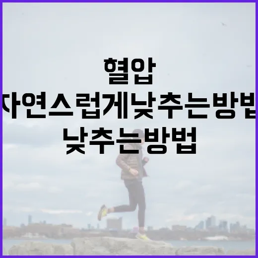 혈압을 자연스럽게 낮추는 방법 - 요약