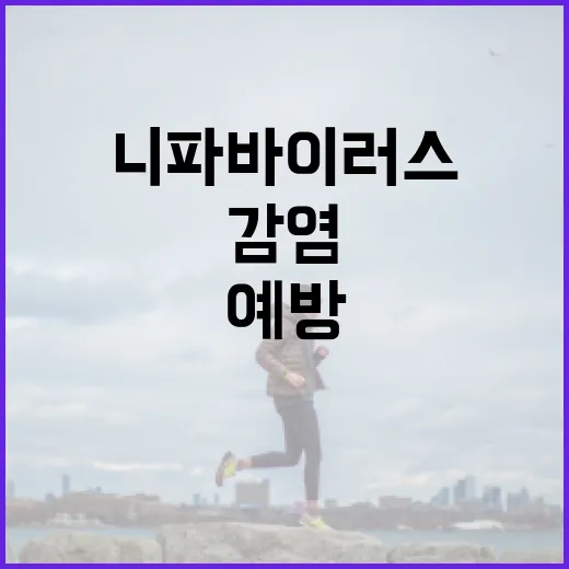 니파바이러스 감염을 예방하는 방법 - 요약