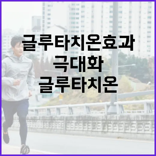 글루타치온 효과를 극대화하는 방법 - 요약