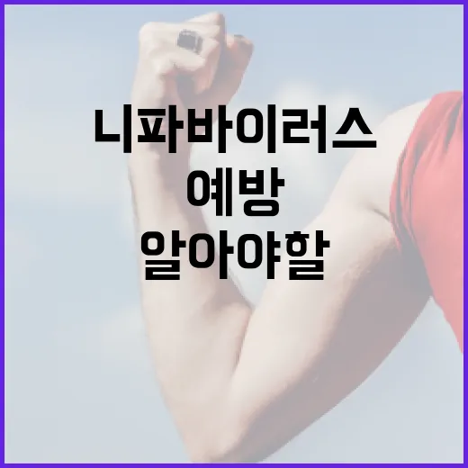 니파바이러스 예방하는 방법과 알아야 할 정보 - 요약