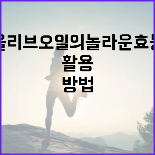 올리브오일의 놀라운 효능 및 활용 방법 - 요약